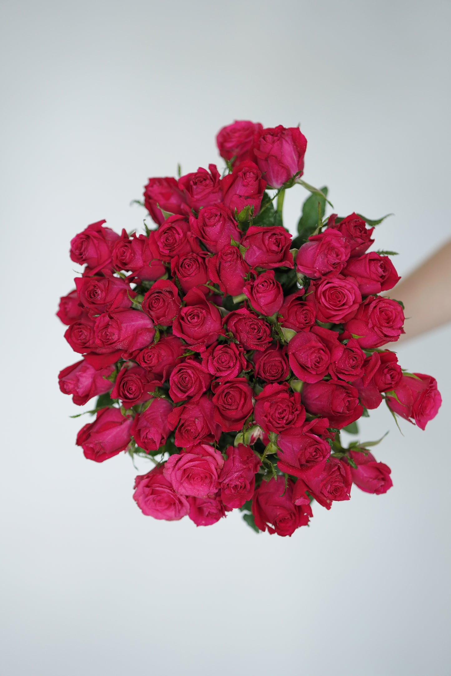 Ceris Pink Rose Bouquet